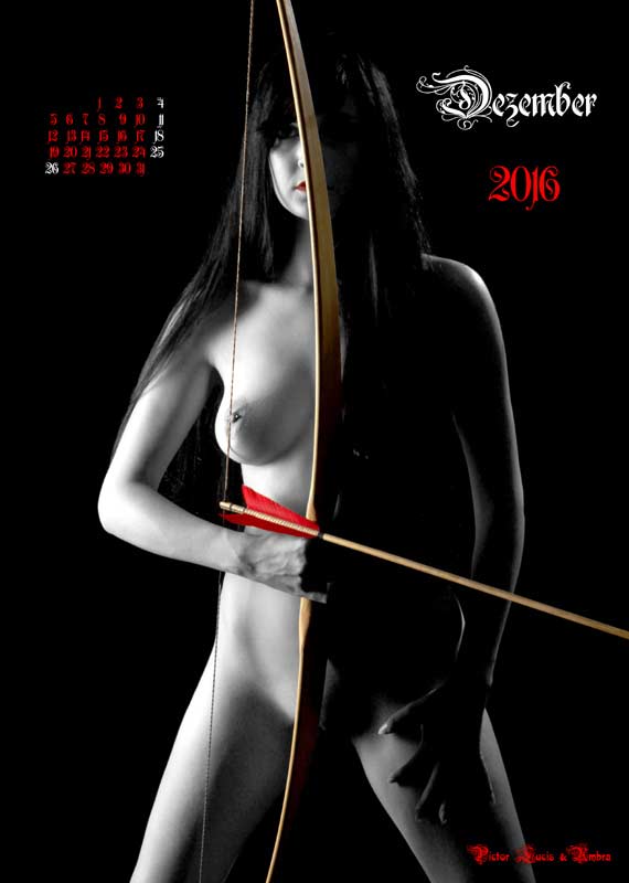 Bogen-Aktkalender-2016 | 12-2016-Bogenakt-roter-Pfeil  | pictorlucis.de
